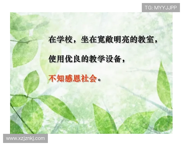 师恩难忘，情深意重：那些触动心弦的“老师的恩惠”故事