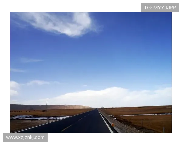 前往风的彼方：倾听灵魂深处的回响，开启一场追寻自我的奇遇